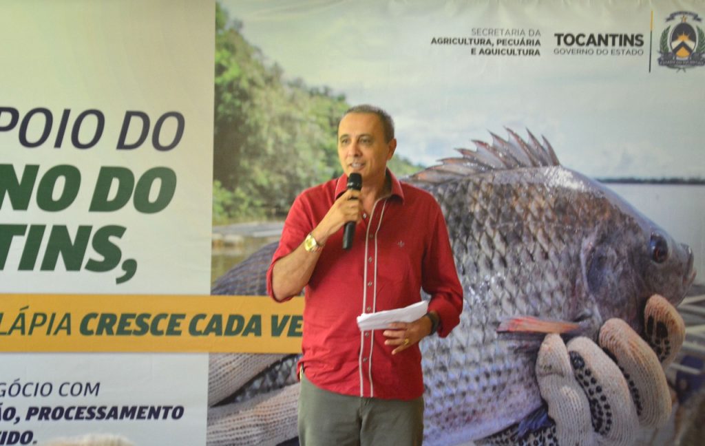 tilapia5-1024x648 Evento busca estimular piscicultura nos municípios do Tocantins