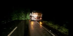 Perigo| Vendaval deixa várias árvores caídas sobre a BR-242 no município de Formoso