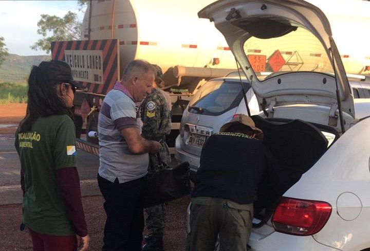 Fiscalização integrada realiza blitz no período da Piracema na TO 010