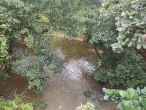 Prefeitura Gurupi propõe nova Secretaria para Gestão Hídrica e Urbana e extingue a AGD