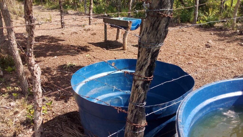 Agua-Crixas-2-1024x576 Seca grave: Moradores da zona rural do município de Crixás sofrem com a falta de água