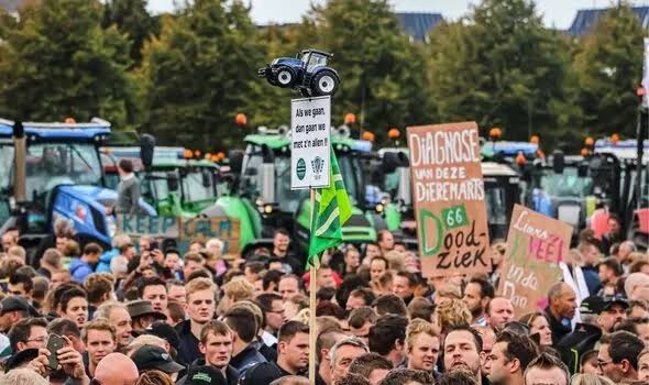 IMG_6316 Protestos Agrícolas ganham forças: Agricultores unem-se se em toda a Europa antes da Cúpula da UE