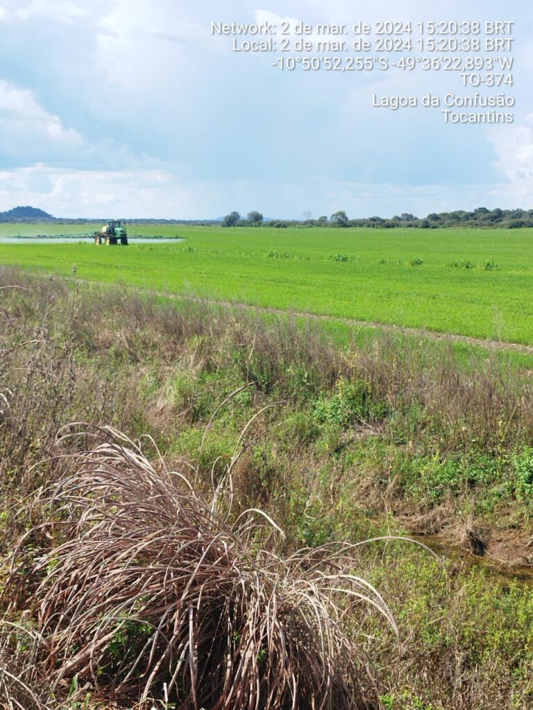 Fazenda-Lagoa-768x1024 Lagoa da Confusão: Plantação de arroz de aproximadamente 900 hectares é destruída após leilão judicial