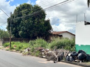 Prefeitura de Gurupi informa proprietários de lotes não edificados para realizarem a limpeza dos terrenos até dia 02 de fevereiro