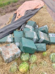 Em Porto Nacional, PF apreende mais de meia tonelada de cocaína sendo transportada em caminhão carregado de melancia