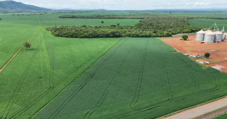 Recorde do agro: Porto Nacional exporta R$ 718 milhões em apenas três meses