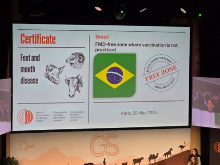 Brasil é reconhecido como País livre de febre Aftosa sem vacinação pela OMSA