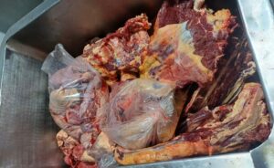Vigilância Sanitária apreende mais de meia tonelada de carne clandestina e 27 mil ovos impróprios para consumo em estabelecimentos de Palmas