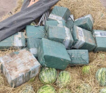 Polícia Federal apreende maior quantidade de cocaína dos últimos 15 anos no Tocantins