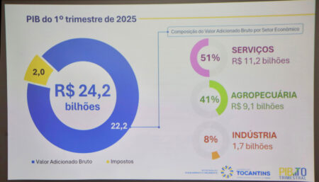 Com crescimento estimado de 3,1%, Governo do Tocantins divulga seu primeiro PIB trimestral e marca avanço na gestão pública