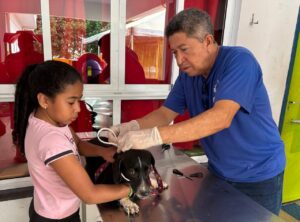 Gurupi: Campanha de encoleiramento de cães contra o calazar é ampliada pela Prefeitura