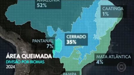 Satélites mostram que em 2024, a Amazônia e a Mata Atlântica tiveram a maior área queimada em 40 anos