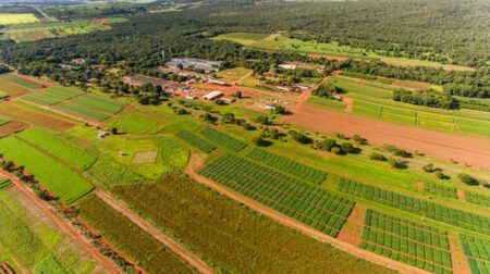 Artigo – Cerrados e a travessia da ciência: 50 anos de transformação agrícola e compromisso com o futuro