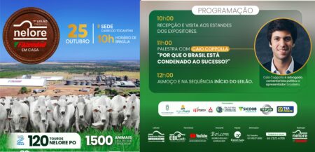 7º Leilão Nelore Fazendão será realizado pela primeira vez “em casa” e promete movimentar o mercado pecuário tocantinense