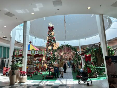 Comércio da Capital adere à Palmas Black, iniciativa que integra campanha da Prefeitura e CDL Palmas