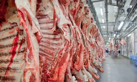 China adia investigação sobre importação de carne bovina e mantém setor em alerta