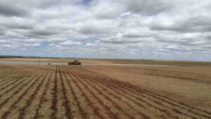 Chuvas irregulares atrasam plantio da soja no Tocantins e acendem alerta para a safrinha de 2026