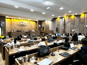 OABTO decide entrar com ação judicial contra operadoras, Meta e instituições bancárias e apresenta plano para combater golpe do “falso advogado”