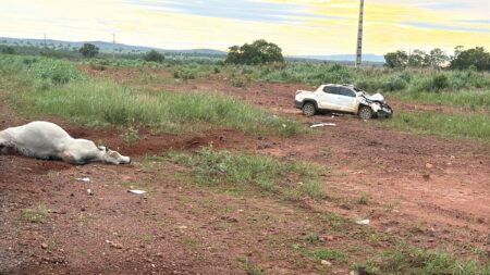 Duas pessoas morrem após batida entre carro e animal na BR-242 em Peixe
