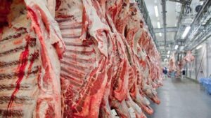 Brasil assume liderança mundial na produção de carne bovina em 2025; Tocantins registrou abate de 352 mil cabeças de bovinos