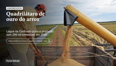 Tocantins mantém liderança e é o maior produtor de arroz da Região Norte, com força de Lagoa da Confusão