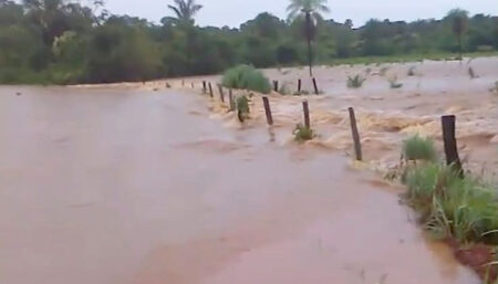 Governo do Tocantins monta força-tarefa para enfrentar impactos ambientais das chuvas intensas no Estado