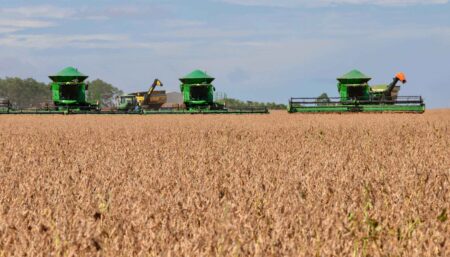 Tocantins registra o segundo maior crescimento econômico do Brasil nos últimos 30 anos